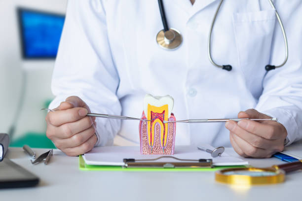 Best Emergency Root Canal Treatment in Greenwood, MS